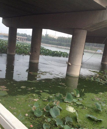 9·20河南挖眼抛尸案的案件经过