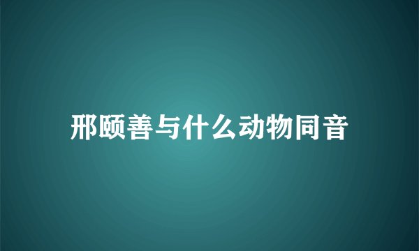 邢颐善与什么动物同音