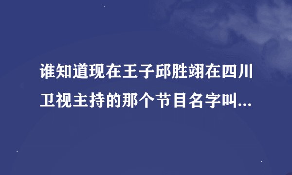 谁知道现在王子邱胜翊在四川卫视主持的那个节目名字叫什么啊?