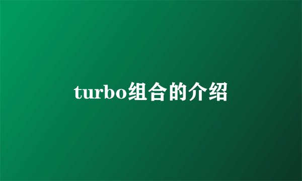 turbo组合的介绍