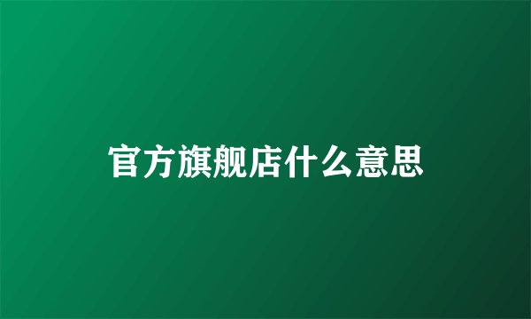 官方旗舰店什么意思