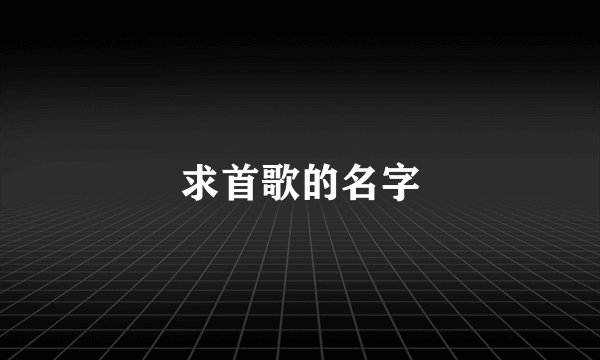 求首歌的名字