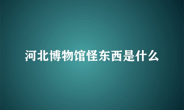 河北博物馆怪东西是什么