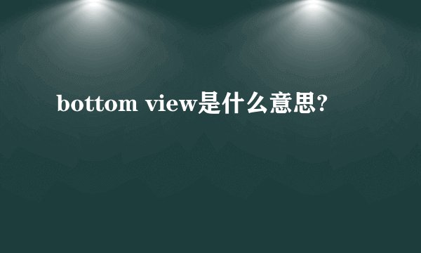 bottom view是什么意思?
