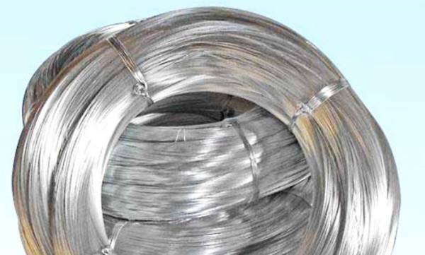 一位名叫努西达的人罹患一种罕见疾病，她从大学时身体就开始不断长出铁丝，这是为什么？