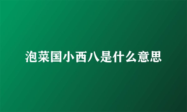 泡菜国小西八是什么意思
