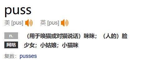 英文puss是什么意思