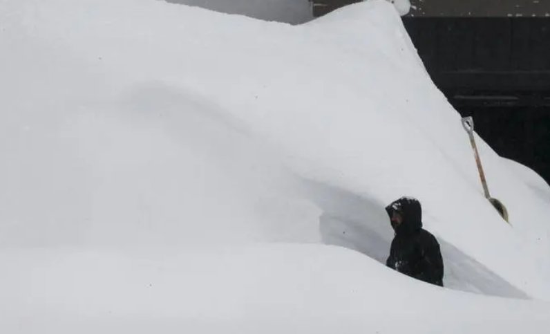 牧民家里没干草,冒大雪放牧被困,牛羊饿死暴雪中!啥原因造成的?
