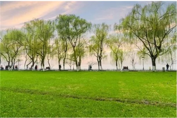 草长莺飞是指什么生肖动物