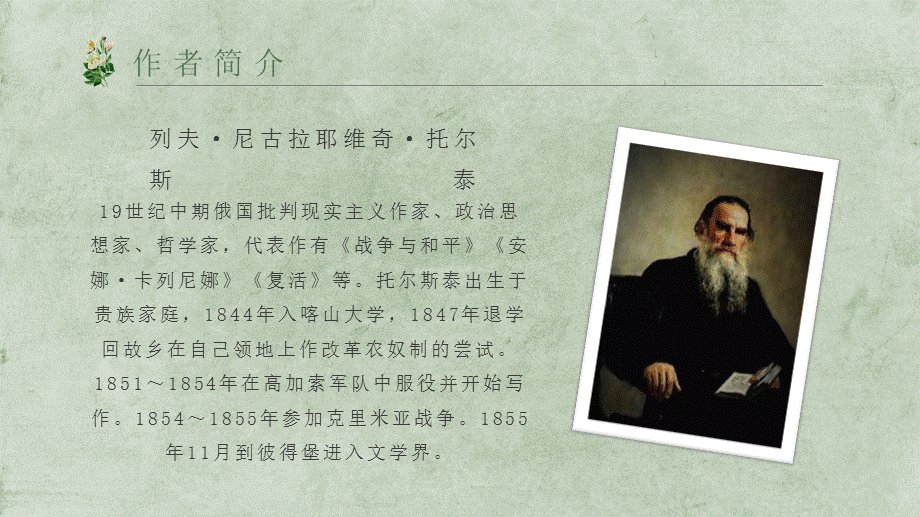 托尔斯泰主义名词解释是什么?