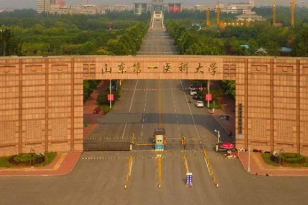 泰安第一医科大学分数线