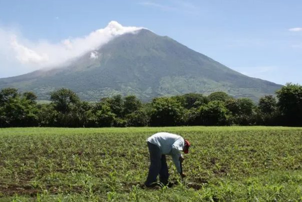 表达父母干农活辛苦的句子