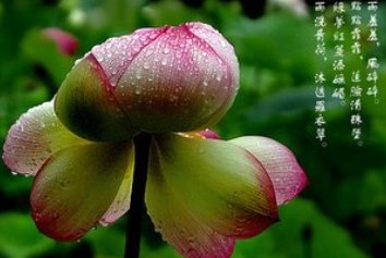 天上白玉京，十二楼五城。出自什么地方？