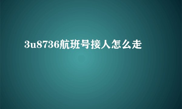 3u8736航班号接人怎么走
