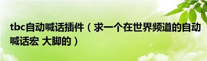 tbc自动喊话插件求一个在世界频道的自动喊话宏大脚的