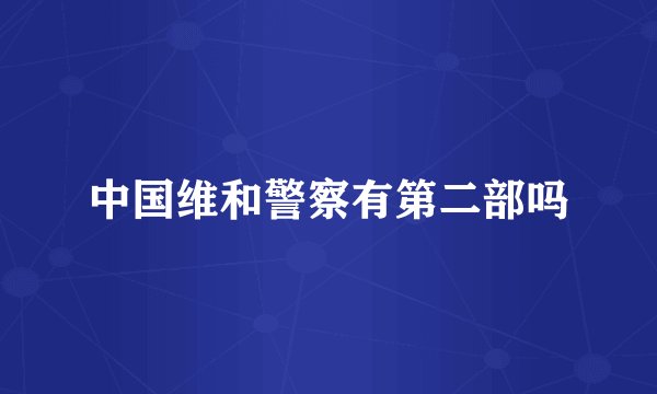 中国维和警察有第二部吗