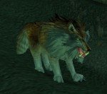 魔兽世界今天打奥山看见有个猎人带着一匹上半身是棕黄色下半身有点灰灰色的狼，不知道在哪抓的？