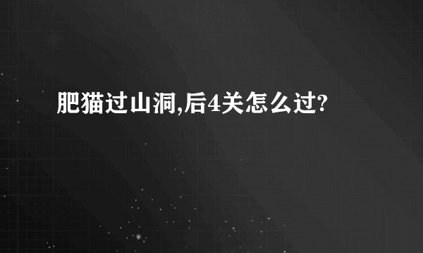 肥猫过山洞,后4关怎么过?