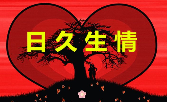 日久生情下一句是什么?