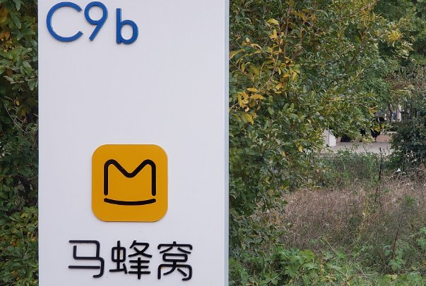 旅游网站排行榜前十名