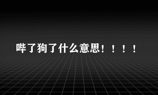 哔了狗了什么意思！！！！