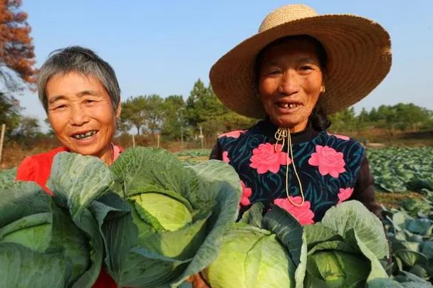 表达父母干农活辛苦的句子