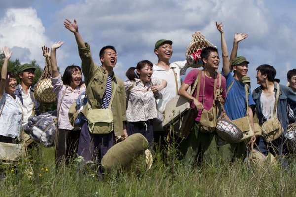 知青最后大结局