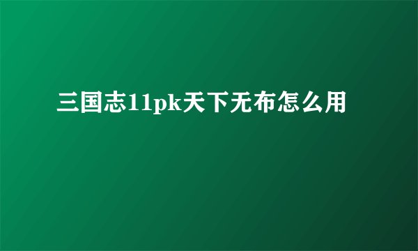 三国志11pk天下无布怎么用