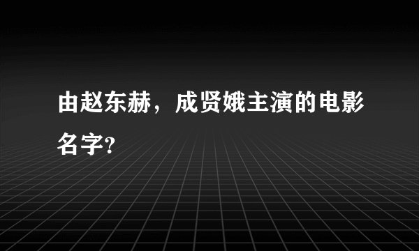 由赵东赫，成贤娥主演的电影名字？