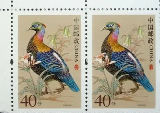 对于邮票来说,“枚”和“张”是相 同大小吗