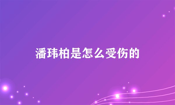 潘玮柏是怎么受伤的