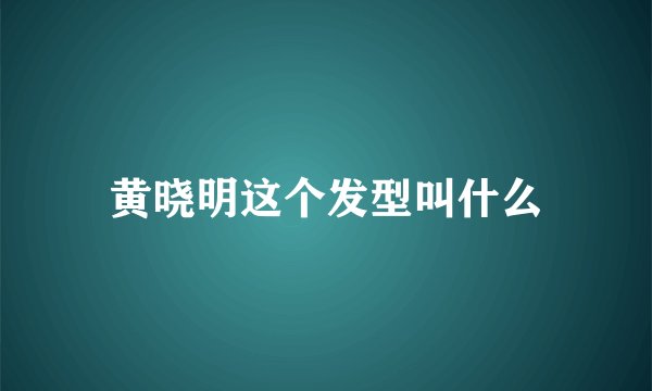 黄晓明这个发型叫什么