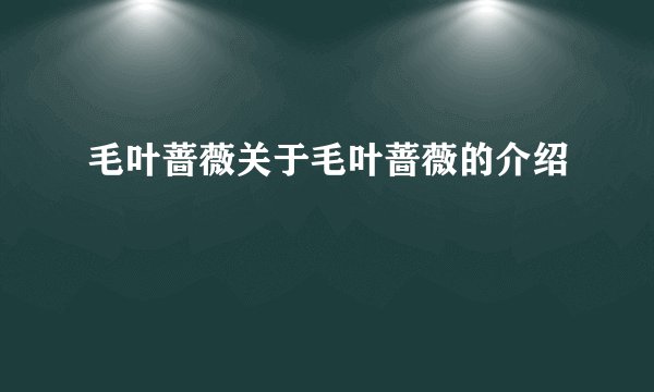毛叶蔷薇关于毛叶蔷薇的介绍