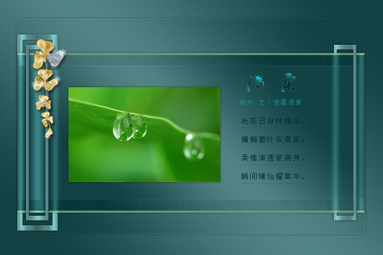 习柔的人物介绍