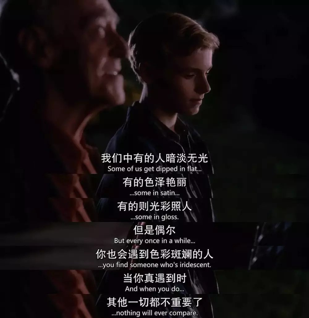 斯人若彩虹遇上方知有什么意思？