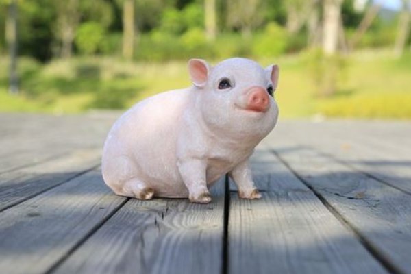 膀大腰圆解一生肖