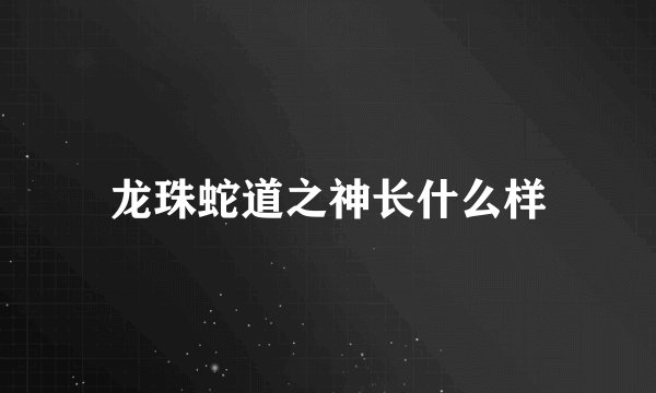 龙珠蛇道之神长什么样