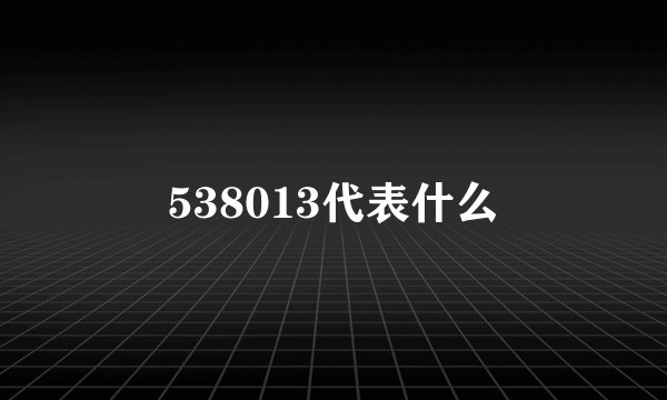 538013代表什么