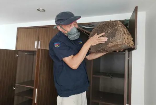 灭白蚁哪家公司好