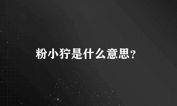 粉小狞是什么意思？