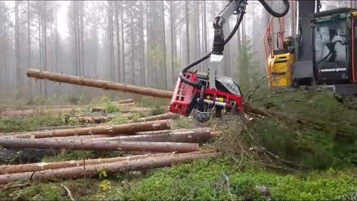 猜字谜 你我各一半 打一字