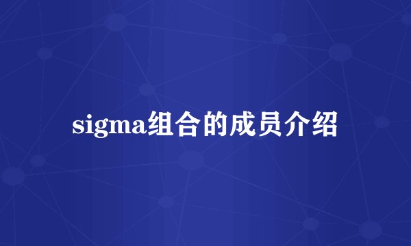 sigma组合的成员介绍