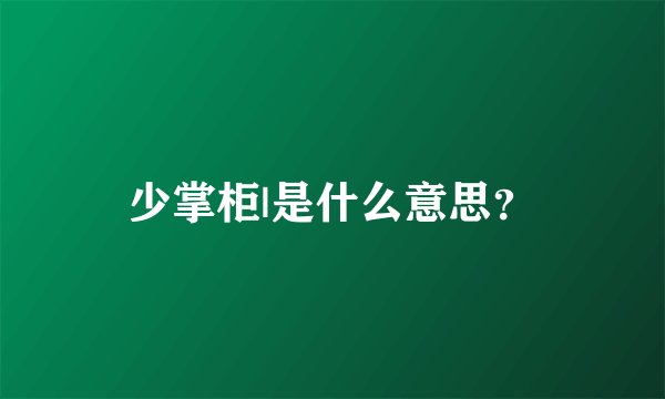少掌柜|是什么意思？