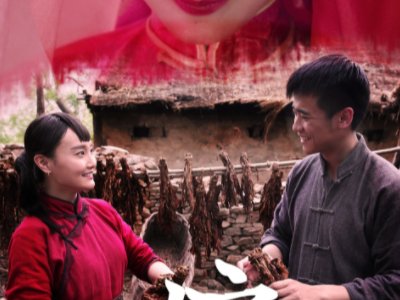 《把家虎》的结局是什么