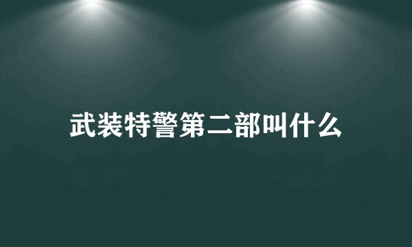 武装特警第二部叫什么