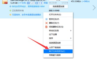 怎样下载torrent？