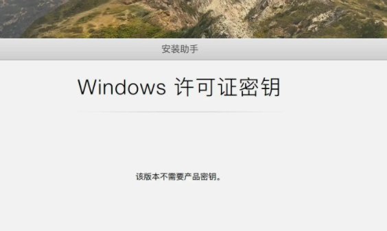 multiple_ editions是专业版，什么意思啊？