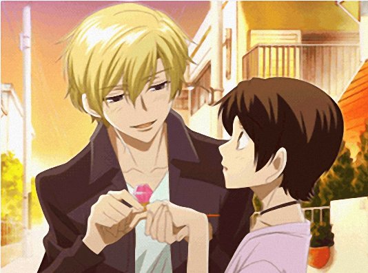 樱兰高校男公关部DS的结局