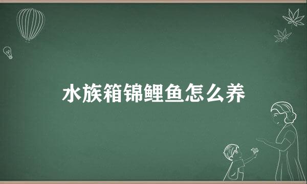 水族箱锦鲤鱼怎么养