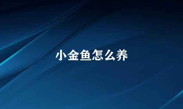 小金鱼怎么养